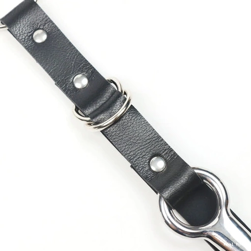 and EverydayUse 5853 Leash with Anal Collar Kinky Hook 1204